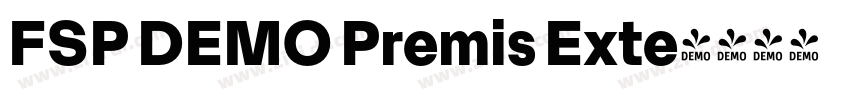 FSP DEMO Premis Exte字体转换